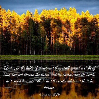 Picture 03 - Numbers 4:7 KJV - And upon the table of showbread they shall spread - Bible Verse Picture