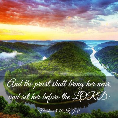 Picture 03 - Numbers 5:16 KJV - And the priest shall bring her near, and set her - Bible Verse Picture