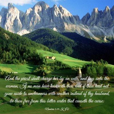 Picture 03 - Numbers 5:19 KJV - And the priest shall charge her by an oath, and - Bible Verse Picture