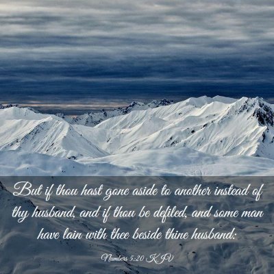 Picture 03 - Numbers 5:20 KJV - But if thou hast gone aside to another instead of - Bible Verse Picture