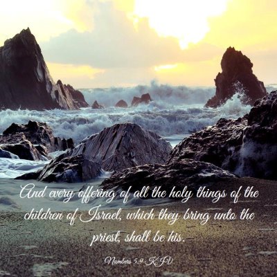 Picture 03 - Numbers 5:9 KJV - And every offering of all the holy things of the - Bible Verse Picture