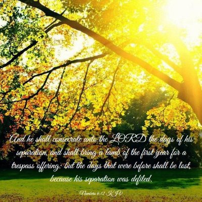 Picture 03 - Numbers 6:12 KJV - And he shall consecrate unto the LORD the days of - Bible Verse Picture