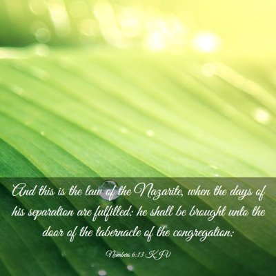Picture 03 - Numbers 6:13 KJV - And this is the law of the Nazarite, when the - Bible Verse Picture