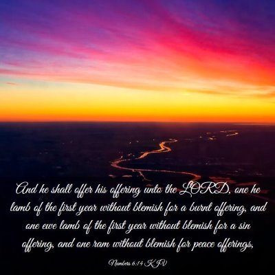Picture 03 - Numbers 6:14 KJV - And he shall offer his offering unto the LORD, - Bible Verse Picture