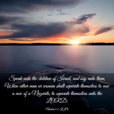 Picture 03 - Numbers 6:2 KJV - Speak unto the children of Israel, and say unto - Bible Verse Picture