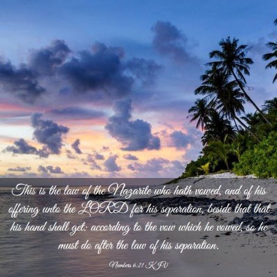 Picture 03 - Numbers 6:21 KJV - This is the law of the Nazarite who hath vowed, - Bible Verse Picture