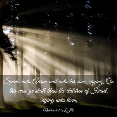 Picture 03 - Numbers 6:23 KJV - Speak unto Aaron and unto his sons, saying, On - Bible Verse Picture