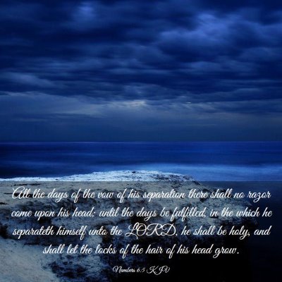 Picture 03 - Numbers 6:5 KJV - All the days of the vow of his separation there - Bible Verse Picture