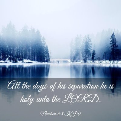 Picture 03 - Numbers 6:8 KJV - All the days of his separation he is holy unto - Bible Verse Picture