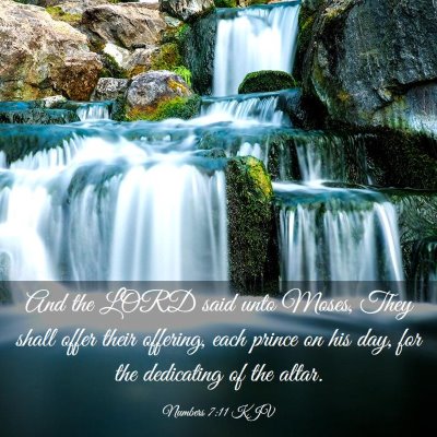 Picture 03 - Numbers 7:11 KJV - And the LORD said unto Moses, They shall offer - Bible Verse Picture