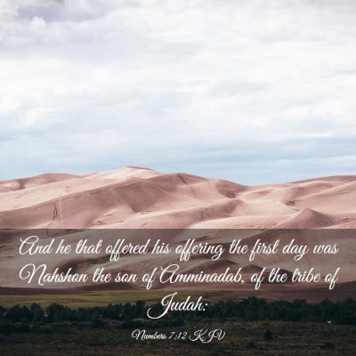 Picture 03 - Numbers 7:12 KJV - And he that offered his offering the first day - Bible Verse Picture