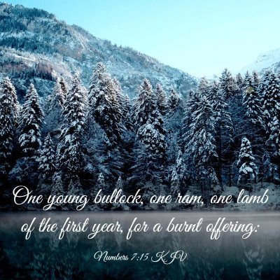 Picture 03 - Numbers 7:15 KJV - One young bullock, one ram, one lamb of the first - Bible Verse Picture