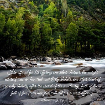 Picture 03 - Numbers 7:19 KJV - He offered for his offering one silver charger, - Bible Verse Picture