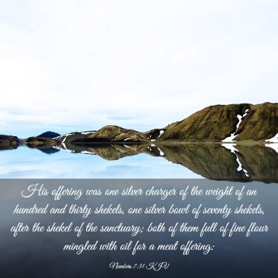 Picture 03 - Numbers 7:31 KJV - His offering was one silver charger of the weight - Bible Verse Picture