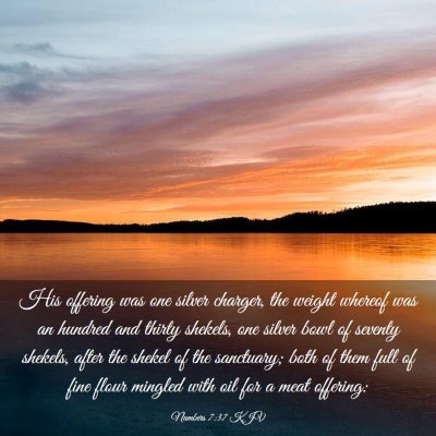 Picture 03 - Numbers 7:37 KJV - His offering was one silver charger, the weight - Bible Verse Picture