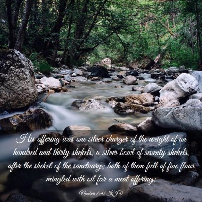 Picture 03 - Numbers 7:43 KJV - His offering was one silver charger of the weight - Bible Verse Picture