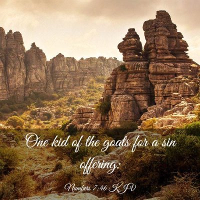 Picture 03 - Numbers 7:46 KJV - One kid of the goats for a sin - Bible Verse Picture