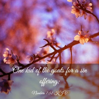 Picture 03 - Numbers 7:52 KJV - One kid of the goats for a sin - Bible Verse Picture