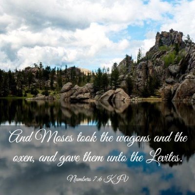 Picture 03 - Numbers 7:6 KJV - And Moses took the wagons and the oxen, and gave - Bible Verse Picture
