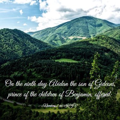 Picture 03 - Numbers 7:60 KJV - On the ninth day Abidan the son of Gideoni, - Bible Verse Picture