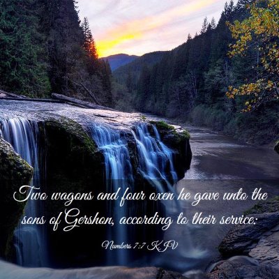 Picture 03 - Numbers 7:7 KJV - Two wagons and four oxen he gave unto the sons of - Bible Verse Picture