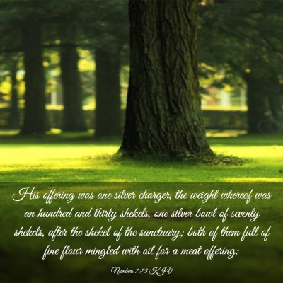 Picture 03 - Numbers 7:73 KJV - His offering was one silver charger, the weight - Bible Verse Picture