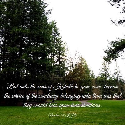 Picture 03 - Numbers 7:9 KJV - But unto the sons of Kohath he gave none: because - Bible Verse Picture