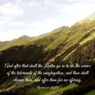 Picture 03 - Numbers 8:15 KJV - And after that shall the Levites go in to do the - Bible Verse Picture