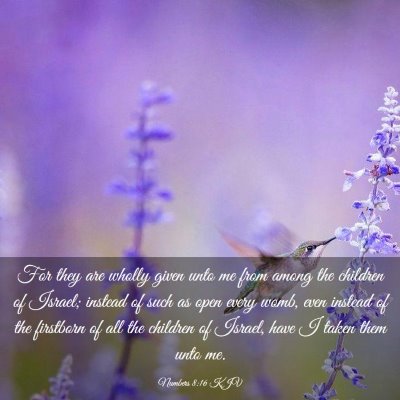Picture 03 - Numbers 8:16 KJV - For they are wholly given unto me from among the - Bible Verse Picture