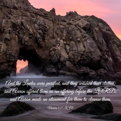 Picture 03 - Numbers 8:21 KJV - And the Levites were purified, and they washed - Bible Verse Picture