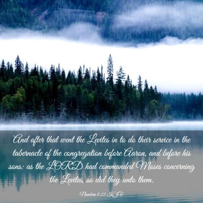 Picture 03 - Numbers 8:22 KJV - And after that went the Levites in to do their - Bible Verse Picture