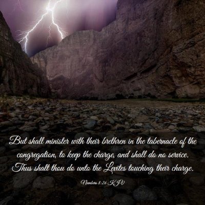 Picture 03 - Numbers 8:26 KJV - But shall minister with their brethren in the - Bible Verse Picture