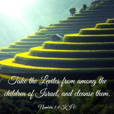 Picture 03 - Numbers 8:6 KJV - Take the Levites from among the children of - Bible Verse Picture