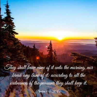 Picture 03 - Numbers 9:12 KJV - They shall leave none of it unto the morning, nor - Bible Verse Picture