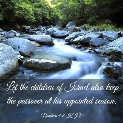 Picture 03 - Numbers 9:2 KJV - Let the children of Israel also keep the passover - Bible Verse Picture