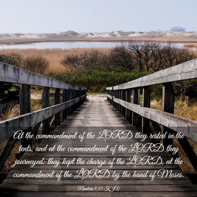 Picture 03 - Numbers 9:23 KJV - At the commandment of the LORD they rested in the - Bible Verse Picture