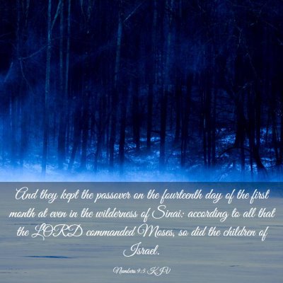 Picture 03 - Numbers 9:5 KJV - And they kept the passover on the fourteenth day - Bible Verse Picture