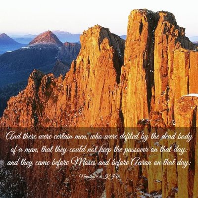 Picture 03 - Numbers 9:6 KJV - And there were certain men, who were defiled by - Bible Verse Picture