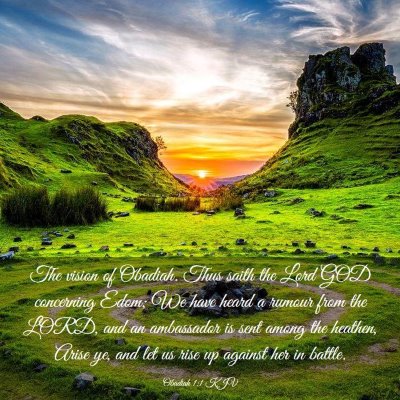 Picture 03 - Obadiah 1:1 KJV - The vision of Obadiah. Thus saith the Lord GOD - Bible Verse Picture