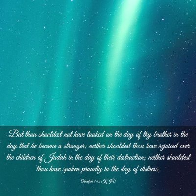 Picture 03 - Obadiah 1:12 KJV - But thou shouldest not have looked on the day of - Bible Verse Picture