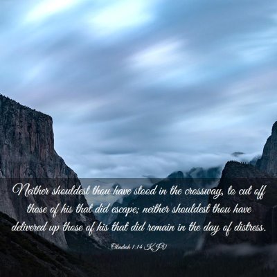 Picture 03 - Obadiah 1:14 KJV - Neither shouldest thou have stood in the - Bible Verse Picture