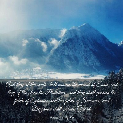 Picture 03 - Obadiah 1:19 KJV - And they of the south shall possess the mount of - Bible Verse Picture