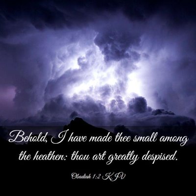 Picture 03 - Obadiah 1:2 KJV - Behold, I have made thee small among the heathen: - Bible Verse Picture