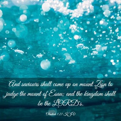 Picture 03 - Obadiah 1:21 KJV - And saviours shall come up on mount Zion to judge - Bible Verse Picture