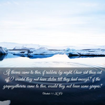 Picture 03 - Obadiah 1:5 KJV - If thieves came to thee, if robbers by night, - Bible Verse Picture