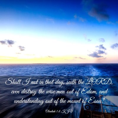 Picture 03 - Obadiah 1:8 KJV - Shall I not in that day, saith the LORD, even - Bible Verse Picture