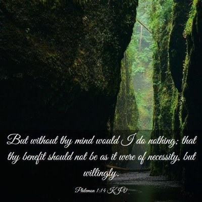 Picture 03 - Philemon 1:14 KJV - But without thy mind would I do nothing; that thy - Bible Verse Picture