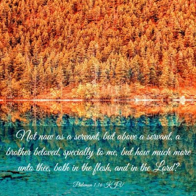 Picture 03 - Philemon 1:16 KJV - Not now as a servant, but above a servant, a - Bible Verse Picture