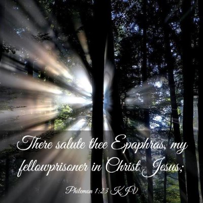 Picture 03 - Philemon 1:23 KJV - There salute thee Epaphras, my fellowprisoner in - Bible Verse Picture