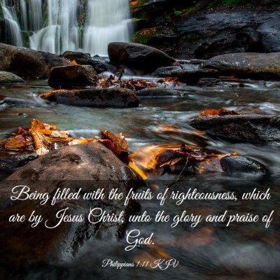 Picture 03 - Philippians 1:11 KJV - Being filled with the fruits of righteousness, - Bible Verse Picture